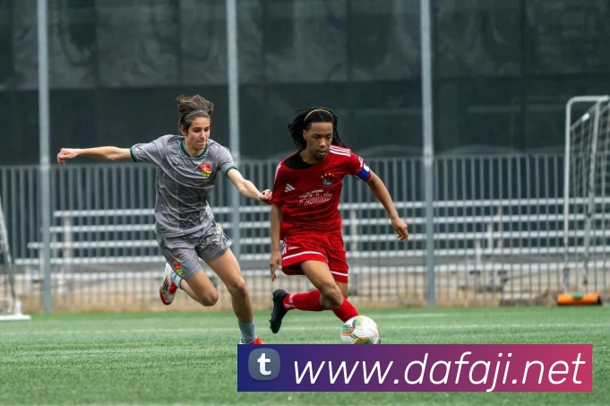 大发彩票服务体系